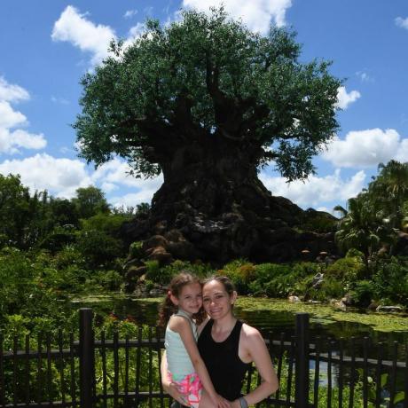 Disney photopass strom života zvieracej ríše