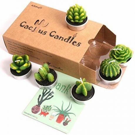 Kaktusové čajové sviečky