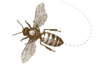 ilustrované včely na kvetoch
