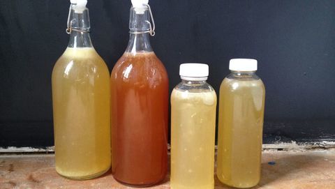 fľašková kombucha