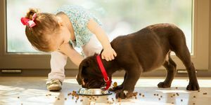 dievčatko a labradorský retriever šteňa